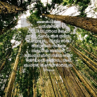 Picture 04 - ಮಾರ್ಕನು 6:48 KANIRV - ಎದುರು ಗಾಳಿ - Bible Verse Picture