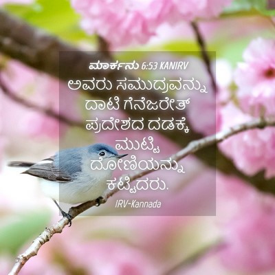 Picture 04 - ಮಾರ್ಕನು 6:53 KANIRV - ಅವರು ಸಮುದ್ರವನ್ನು - Bible Verse Picture