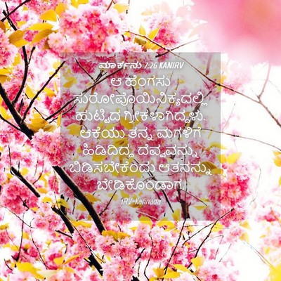 Picture 04 - ಮಾರ್ಕನು 7:26 KANIRV - ಆ ಹೆಂಗಸು - Bible Verse Picture