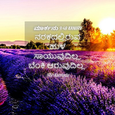 Picture 04 - ಮಾರ್ಕನು 9:48 KANIRV - ನರಕದಲ್ಲಿರುವ ಹುಳ - Bible Verse Picture