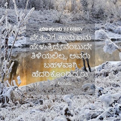 Picture 04 - ಮಾರ್ಕನು 9:6 KANIRV - ಪೇತ್ರನಿಗೆ ತಾನು - Bible Verse Picture