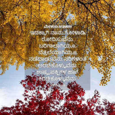 Picture 04 - ಮೀಕನು 1:8 KANIRV - ಇದಕ್ಕಾಗಿ ನಾನು - Bible Verse Picture