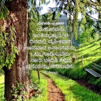 Picture 04 - ಮೀಕನು 4:6 KANIRV - ಯೆಹೋವನು - Bible Verse Picture