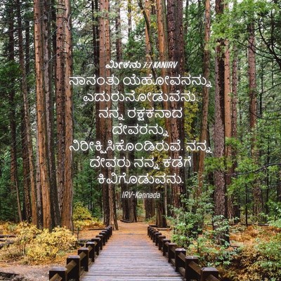 Picture 04 - ಮೀಕನು 7:7 KANIRV - ನಾನಂತು ಯೆಹೋವನನ್ನು - Bible Verse Picture