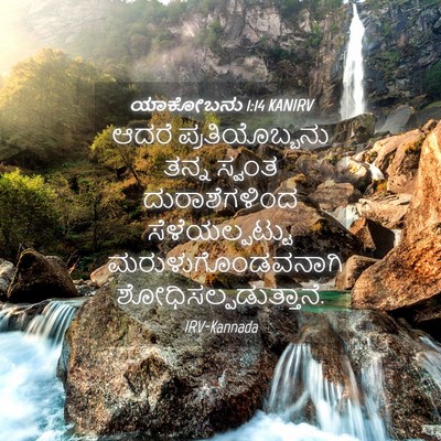 Picture 04 - ಯಾಕೋಬನು 1:14 KANIRV - ಆದರೆ ಪ್ರತಿಯೊಬ್ಬನು - Bible Verse Picture