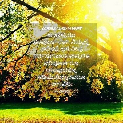 Picture 04 - ಯಾಕೋಬನು 1:4 KANIRV - ಆ ತಾಳ್ಮೆಯು - Bible Verse Picture