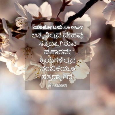 Picture 04 - ಯಾಕೋಬನು 2:26 KANIRV - ಆತ್ಮವಿಲ್ಲದ ದೇಹವು - Bible Verse Picture