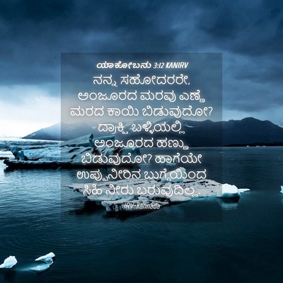 Picture 04 - ಯಾಕೋಬನು 3:12 KANIRV - ನನ್ನ ಸಹೋದರರೇ, - Bible Verse Picture