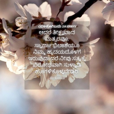 Picture 04 - ಯಾಕೋಬನು 3:14 KANIRV - ಆದರೆ ತೀಕ್ಷ್ಣವಾದ - Bible Verse Picture