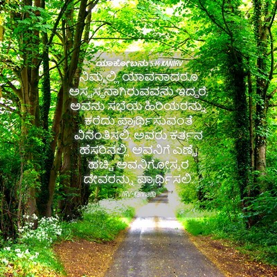 Picture 04 - ಯಾಕೋಬನು 5:14 KANIRV - ನಿಮ್ಮಲ್ಲಿ - Bible Verse Picture