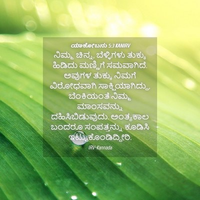 Picture 04 - ಯಾಕೋಬನು 5:3 KANIRV - ನಿಮ್ಮ ಚಿನ್ನ, - Bible Verse Picture