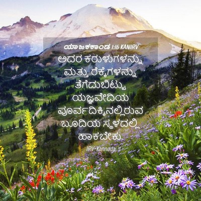 Picture 04 - ಯಾಜಕಕಾಂಡ 1:16 KANIRV - ಅದರ ಕರುಳುಗಳನ್ನು - Bible Verse Picture