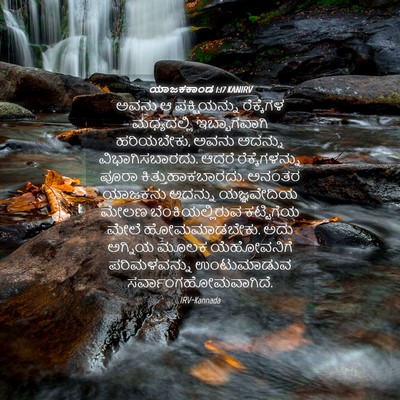 Picture 04 - ಯಾಜಕಕಾಂಡ 1:17 KANIRV - ಅವನು ಆ ಪಕ್ಷಿಯನ್ನು - Bible Verse Picture