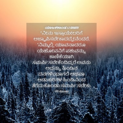 Picture 04 - ಯಾಜಕಕಾಂಡ 1:2 KANIRV - “ನೀನು - Bible Verse Picture