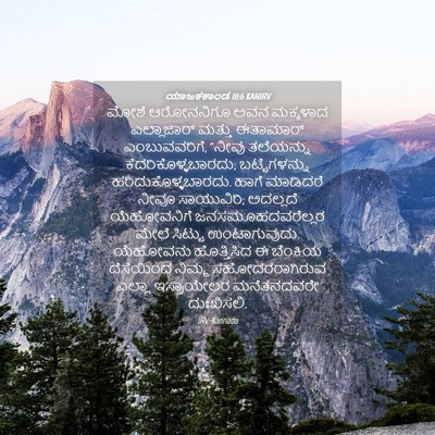 Picture 04 - ಯಾಜಕಕಾಂಡ 10:6 KANIRV - ಮೋಶೆ ಆರೋನನಿಗೂ ಅವನ - Bible Verse Picture