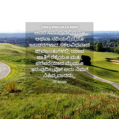 Picture 04 - ಯಾಜಕಕಾಂಡ 11:10 KANIRV - ಆದರೆ - Bible Verse Picture