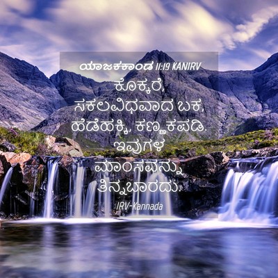 Picture 04 - ಯಾಜಕಕಾಂಡ 11:19 KANIRV - ಕೊಕ್ಕರೆ, - Bible Verse Picture