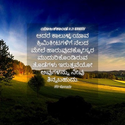 Picture 04 - ಯಾಜಕಕಾಂಡ 11:21 KANIRV - ಆದರೆ ಕಾಲುಳ್ಳ ಯಾವ - Bible Verse Picture