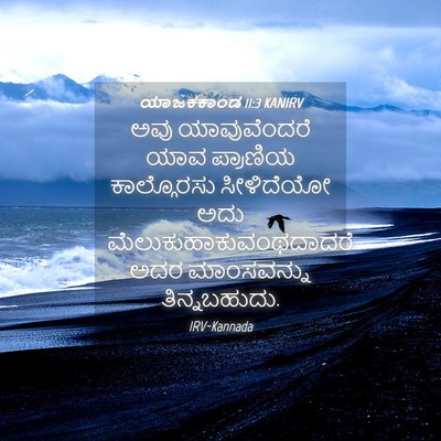 Picture 04 - ಯಾಜಕಕಾಂಡ 11:3 KANIRV - ಅವು ಯಾವುವೆಂದರೆ - Bible Verse Picture