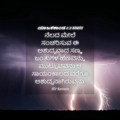 Picture 04 - ಯಾಜಕಕಾಂಡ 11:31 KANIRV - ನೆಲದ ಮೇಲೆ - Bible Verse Picture