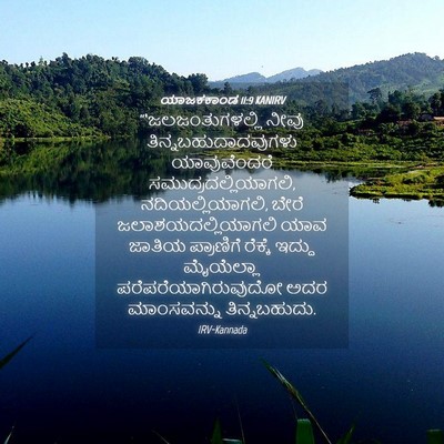 Picture 04 - ಯಾಜಕಕಾಂಡ 11:9 KANIRV - “‘ಜಲಜಂತುಗಳಲ್ಲಿ - Bible Verse Picture