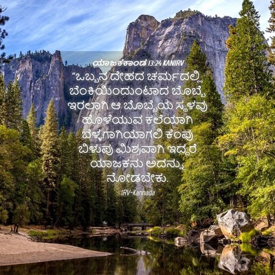 Picture 04 - ಯಾಜಕಕಾಂಡ 13:24 KANIRV - “ಒಬ್ಬನ ದೇಹದ - Bible Verse Picture