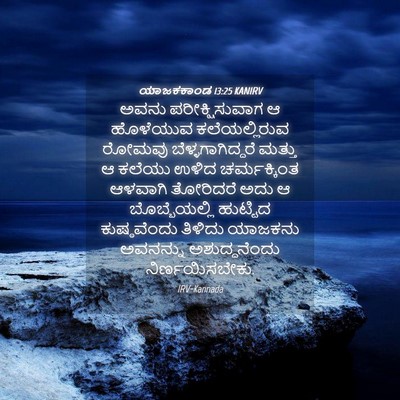 Picture 04 - ಯಾಜಕಕಾಂಡ 13:25 KANIRV - ಅವನು ಪರೀಕ್ಷಿಸುವಾಗ - Bible Verse Picture