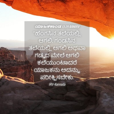 Picture 04 - ಯಾಜಕಕಾಂಡ 13:29 KANIRV - “ಹೆಂಗಸಿನ ತಲೆಯಲ್ಲಿ - Bible Verse Picture
