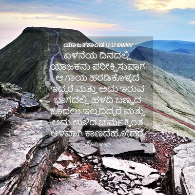 Picture 04 - ಯಾಜಕಕಾಂಡ 13:32 KANIRV - ಏಳನೆಯ ದಿನದಲ್ಲಿ - Bible Verse Picture