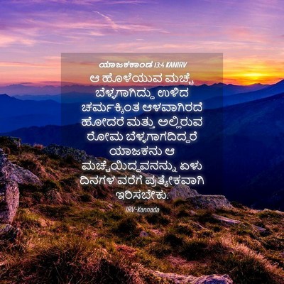 Picture 04 - ಯಾಜಕಕಾಂಡ 13:4 KANIRV - ಆ ಹೊಳೆಯುವ ಮಚ್ಚೆ - Bible Verse Picture