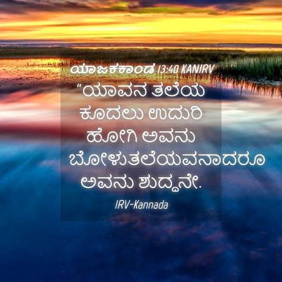 Picture 04 - ಯಾಜಕಕಾಂಡ 13:40 KANIRV - “ಯಾವನ ತಲೆಯ ಕೂದಲು - Bible Verse Picture