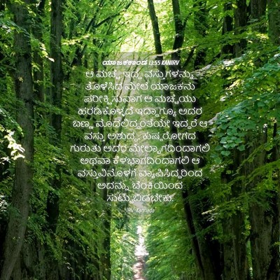 Picture 04 - ಯಾಜಕಕಾಂಡ 13:55 KANIRV - ಆ ಮಚ್ಚೆ ಇದ್ದ - Bible Verse Picture