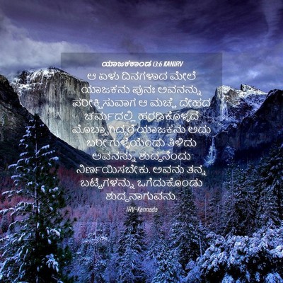 Picture 04 - ಯಾಜಕಕಾಂಡ 13:6 KANIRV - ಆ ಏಳು ದಿನಗಳಾದ ಮೇಲೆ - Bible Verse Picture