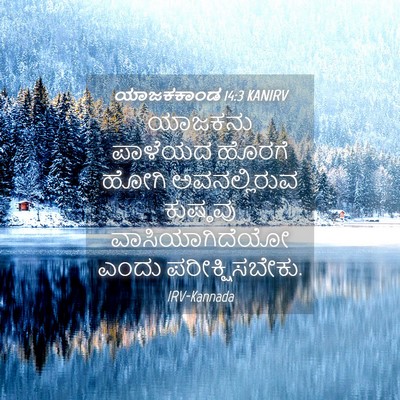 Picture 04 - ಯಾಜಕಕಾಂಡ 14:3 KANIRV - ಯಾಜಕನು ಪಾಳೆಯದ - Bible Verse Picture