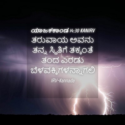 Picture 04 - ಯಾಜಕಕಾಂಡ 14:30 KANIRV - ತರುವಾಯ ಅವನು ತನ್ನ - Bible Verse Picture