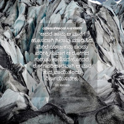 Picture 04 - ಯಾಜಕಕಾಂಡ 14:48 KANIRV - “ಆದರೆ ತಾನು ಆ ಮನೆಗೆ - Bible Verse Picture