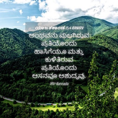 Picture 04 - ಯಾಜಕಕಾಂಡ 15:4 KANIRV - ಅಂಥವನು ಮಲಗಿರುವ - Bible Verse Picture