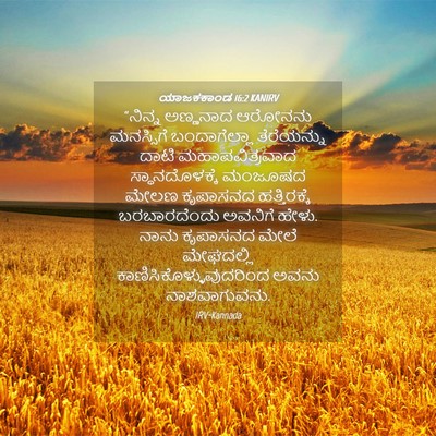 Picture 04 - ಯಾಜಕಕಾಂಡ 16:2 KANIRV - “ನಿನ್ನ ಅಣ್ಣನಾದ - Bible Verse Picture
