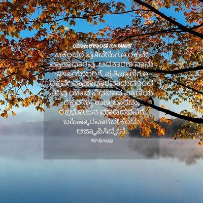 Picture 04 - ಯಾಜಕಕಾಂಡ 17:14 KANIRV - ಏಕೆಂದರೆ - Bible Verse Picture