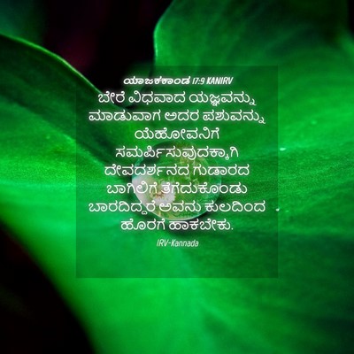 Picture 04 - ಯಾಜಕಕಾಂಡ 17:9 KANIRV - ಬೇರೆ ವಿಧವಾದ - Bible Verse Picture