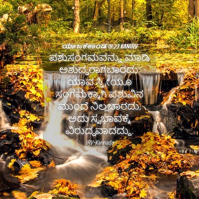 Picture 04 - ಯಾಜಕಕಾಂಡ 18:23 KANIRV - ಪಶುಸಂಗಮವನ್ನು ಮಾಡಿ - Bible Verse Picture