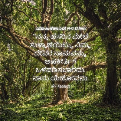 Picture 04 - ಯಾಜಕಕಾಂಡ 19:12 KANIRV - “‘ನನ್ನ ಹೆಸರಿನ - Bible Verse Picture