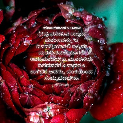 Picture 04 - ಯಾಜಕಕಾಂಡ 19:6 KANIRV - ನೀವು ಮಾಡುವ ಯಜ್ಞದ - Bible Verse Picture