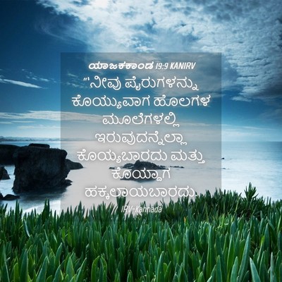 Picture 04 - ಯಾಜಕಕಾಂಡ 19:9 KANIRV - “‘ನೀವು ಪೈರುಗಳನ್ನು - Bible Verse Picture