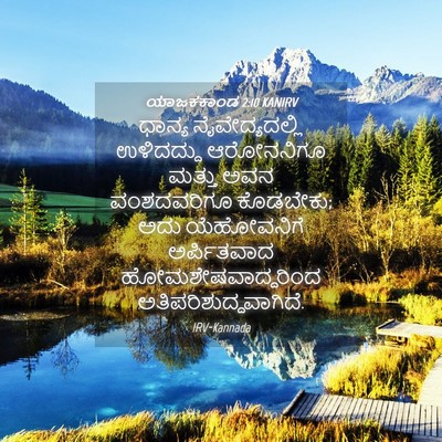 Picture 04 - ಯಾಜಕಕಾಂಡ 2:10 KANIRV - ಧಾನ್ಯ - Bible Verse Picture
