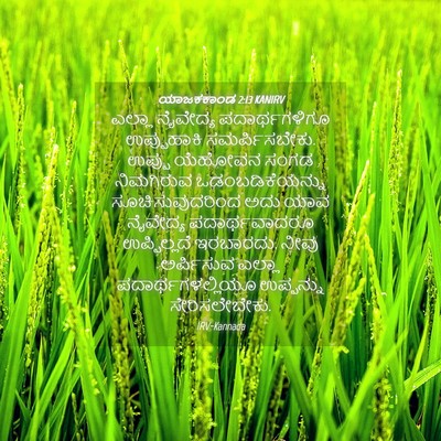 Picture 04 - ಯಾಜಕಕಾಂಡ 2:13 KANIRV - ಎಲ್ಲಾ ನೈವೇದ್ಯ - Bible Verse Picture