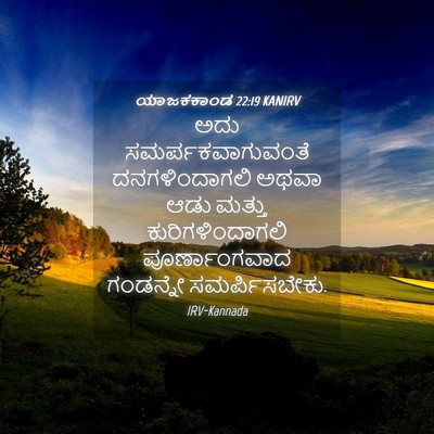 Picture 04 - ಯಾಜಕಕಾಂಡ 22:19 KANIRV - ಅದು - Bible Verse Picture