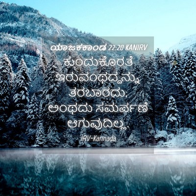 Picture 04 - ಯಾಜಕಕಾಂಡ 22:20 KANIRV - ಕುಂದುಕೊರತೆ - Bible Verse Picture