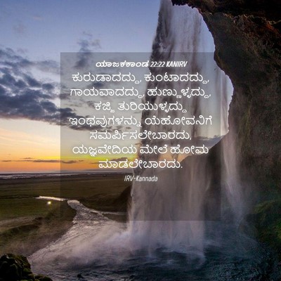 Picture 04 - ಯಾಜಕಕಾಂಡ 22:22 KANIRV - ಕುರುಡಾದದ್ದು, - Bible Verse Picture
