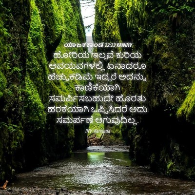 Picture 04 - ಯಾಜಕಕಾಂಡ 22:23 KANIRV - ಹೋರಿಯ ಇಲ್ಲವೆ - Bible Verse Picture
